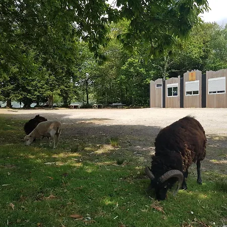 Campsite Mobilhome 6 Places Dans 4* Finistere Sud